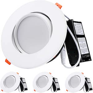 Dimmable Directional Ceiling Light